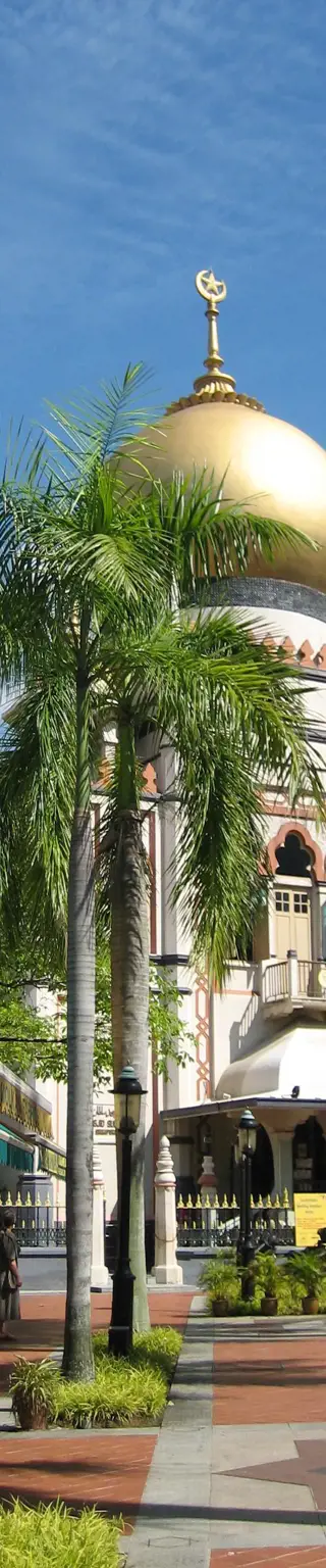 Finde heraus, das Singapur mehr ist als nur Hochhäuser